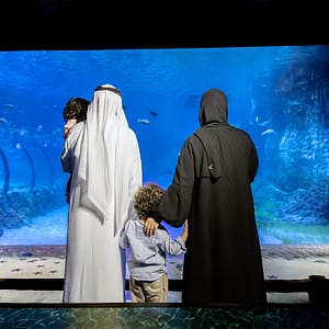 Show Under the Rain at Zabeel Theatre in Dubai – Shows and Theatrical Plays Shafqa.com Online Shopping, Best Prices in Dubai UAE 4