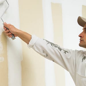 Transform Your Apartment With A Fresh Coat Of Paint Dubai Shafqa.com Online Shopping, Best Prices in Dubai UAE
