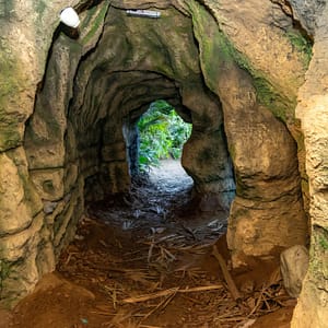 Tropical Land – Top-Rated Attractions Shafqa.com Online Shopping, Best Prices in Dubai UAE