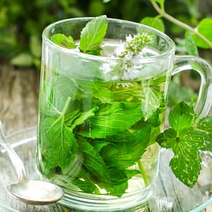 Unlock The Secrets Of Herbs With Master Herbalist Course National Deal Shafqa.com Online Shopping, Best Prices in Dubai UAE
