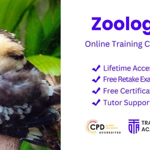 Zoo / Animal Park Sharjah & N. Emirates Shafqa.com Online Shopping, Best Prices in Dubai UAE