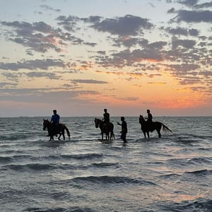 Horse Riding in Jeddah – Experiences Shafqa.com Online Shopping, Best Prices in Dubai UAE