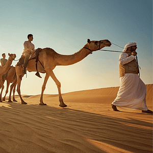 Camel Trekking Experience In Abu Dhabi With Transfers In Land Cruiser – Top-Rated Attractions Shafqa.com Online Shopping, Best Prices in Dubai UAE