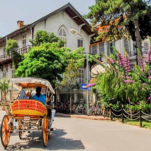 Daily Princes’ Islands Tour: Full-Day Trip in Istanbul – Sightseeing and Tours Shafqa.com Online Shopping, Best Prices in Dubai UAE