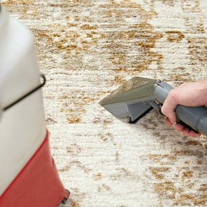 Deep Clean Your 5,10 Or 15 -Square-Metre Carpet Or Curtain Cleaning Dubai Shafqa.com Online Shopping, Best Prices in Dubai UAE