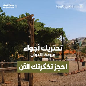Liwan Farm in Abha – Arabic Events Shafqa.com Online Shopping, Best Prices in Dubai UAE