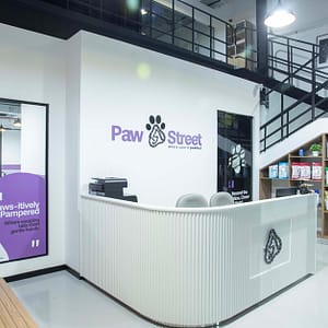 Pamper Your Pet Basic Or Full Grooming For Small To Xl Dogs Or Cats Dubai Shafqa.com Online Shopping, Best Prices in Dubai UAE