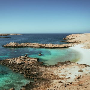 Private group tour of Daymaniyat Islands – Sightseeing and Tours Shafqa.com Online Shopping, Best Prices in Dubai UAE