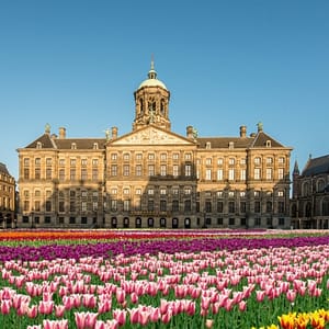 Royal Palace Amsterdam (Koninklijk Paleis): Entry Ticket – Recently Added Experiences Shafqa.com Online Shopping, Best Prices in Dubai UAE