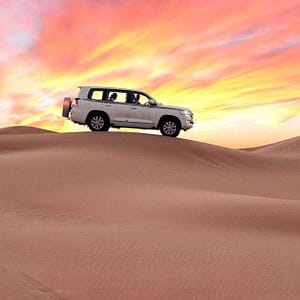 Safari Park Dubai Shafqa.com Online Shopping, Best Prices in Dubai UAE