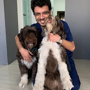 Take Care Of Your Pet: Vaccination Or Preventive Care Package Dubai Shafqa.com Online Shopping, Best Prices in Dubai UAE