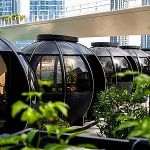 The Pods 4-Course Set Menu – Brunches Shafqa.com Online Shopping, Best Prices in Dubai UAE