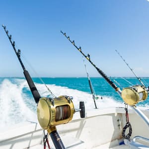 Trolling in Ocean for Big Fish – Top-Rated Attractions Shafqa.com Online Shopping, Best Prices in Dubai UAE