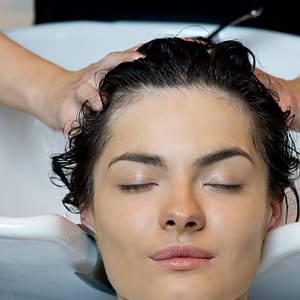 Cat Or Dog Grooming Abu Dhabi Shafqa.com Online Shopping, Best Prices in Dubai UAE 3