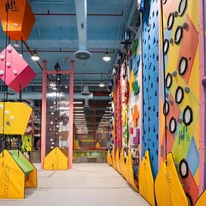 Adventure Park + Marassi Aquarium & Underwater Zoo – Combo – Top-Rated Attractions Shafqa.com Online Shopping, Best Prices in Dubai UAE