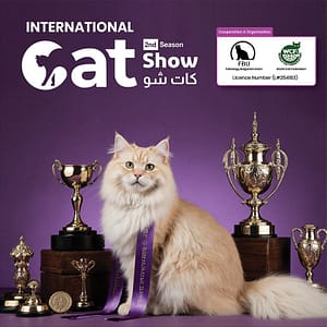 Cat Show in Riyadh – Exhibitions Shafqa.com Online Shopping, Best Prices in Dubai UAE