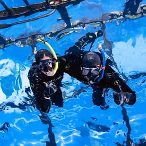 Dubai Aquarium & Underwater Zoo Cage Snorkelling – Indoor Attractions Shafqa.com Online Shopping, Best Prices in Dubai UAE