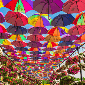 Dubai Miracle Garden – Gardens & parks Shafqa.com Online Shopping, Best Prices in Dubai UAE