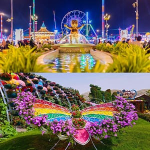 Global Village + Butterfly Garden – Combo – Must-see attractions Shafqa.com Online Shopping, Best Prices in Dubai UAE