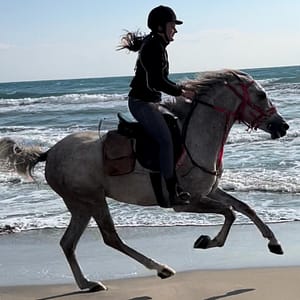 Horse Riding at Shahaniya –  Qool Qatar – Must-see attractions Shafqa.com Online Shopping, Best Prices in Dubai UAE