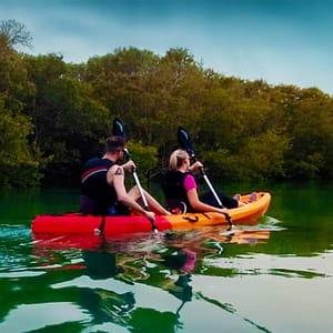 Mangroves Kayaking at Purple Island – Qool Qatar – Must-see attractions Shafqa.com Online Shopping, Best Prices in Dubai UAE