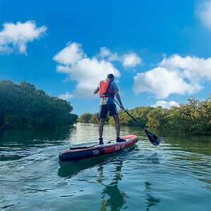 Mangroves paddleboarding at Purple Island – Qool Qatar – Must-see attractions Shafqa.com Online Shopping, Best Prices in Dubai UAE