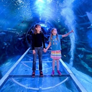 SEA LIFE Birmingham – Indoor Attractions Shafqa.com Online Shopping, Best Prices in Dubai UAE