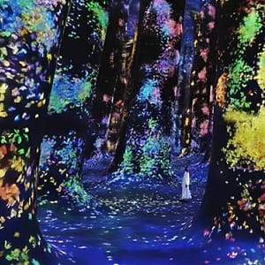 TeamLab Phenomena Abu Dhabi – Dated – Museums Shafqa.com Online Shopping, Best Prices in Dubai UAE 2