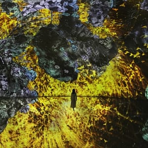 TeamLab Phenomena + Yas Waterworld – Combo – Recently Added Experiences Shafqa.com Online Shopping, Best Prices in Dubai UAE