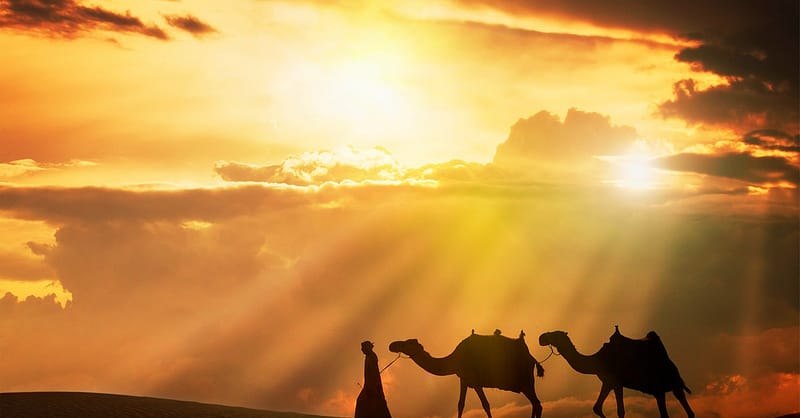 30-Day Uae Tourist Visa Dubai Shafqa.com Online Shopping, Best Prices in Dubai UAE 2