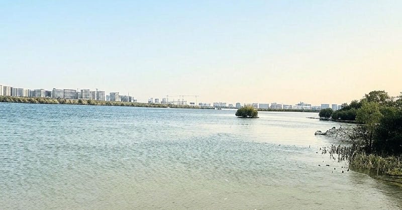 30 Or 60-Minute Quick Scenic Cruise In Abu Dhabi For Up To 2, 3, Or 4 Abu Dhabi Shafqa.com Online Shopping, Best Prices in Dubai UAE 12