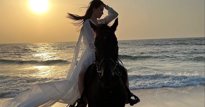 Pony Ride, Desert Hack, Desert Tail Ride At Jsr Stables Dubai Shafqa.com Online Shopping, Best Prices in Dubai UAE 4