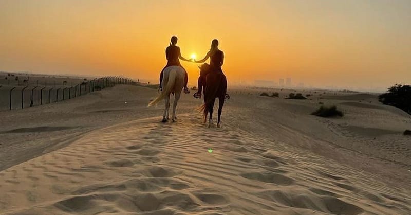 Pony Ride, Desert Hack, Desert Tail Ride At Jsr Stables Dubai Shafqa.com Online Shopping, Best Prices in Dubai UAE 3