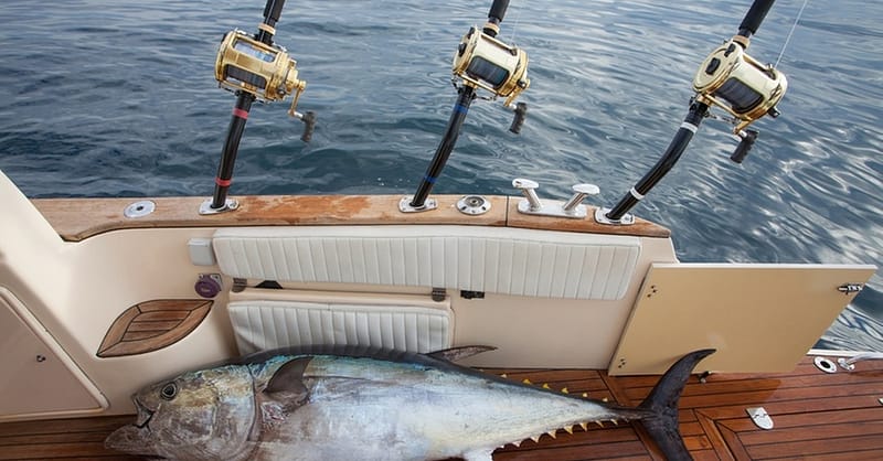 5-Hours Boat Fishing Tour At King Fisher Tours Dubai Shafqa.com Online Shopping, Best Prices in Dubai UAE 5