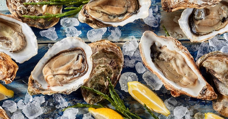 5* Seafood Theme Night Buffet W/Beverage For A Child Or Up To 4 Adults Abu Dhabi Shafqa.com Online Shopping, Best Prices in Dubai UAE 8