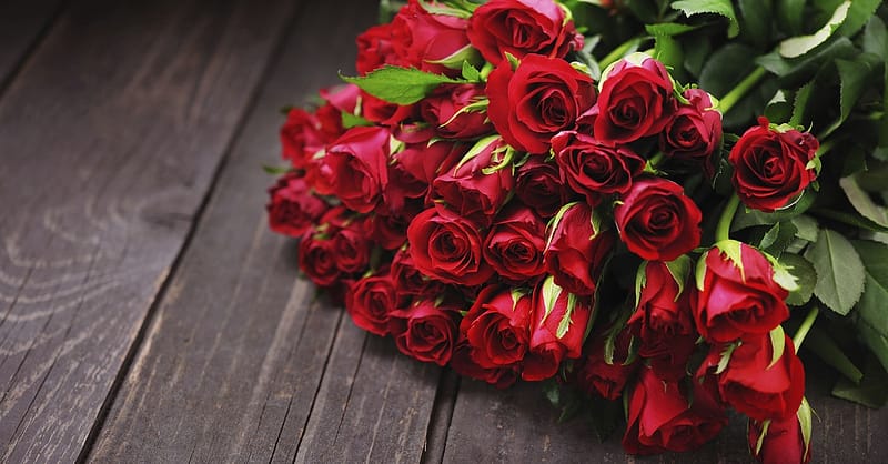 50 To 200 Roses And Card Dubai Shafqa.com Online Shopping, Best Prices in Dubai UAE 2