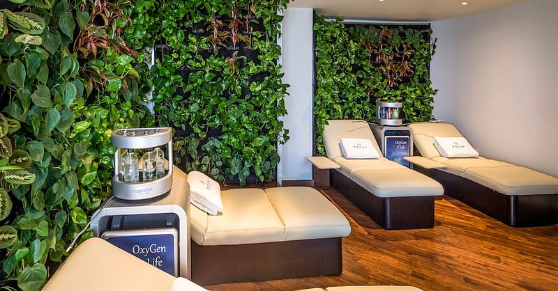 60 Or 90-Minute Treatment Of Choice And Spa Facilities, Oxygen Therapy Dubai Shafqa.com Online Shopping, Best Prices in Dubai UAE 9