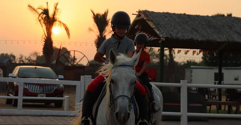 Al Madam 2 Stables, 45-Minute Horse Riding Lesson Dubai Shafqa.com Online Shopping, Best Prices in Dubai UAE 3