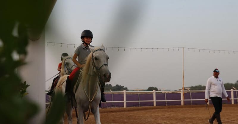 Al Madam 2 Stables, 45-Minute Horse Riding Lesson Dubai Shafqa.com Online Shopping, Best Prices in Dubai UAE 4