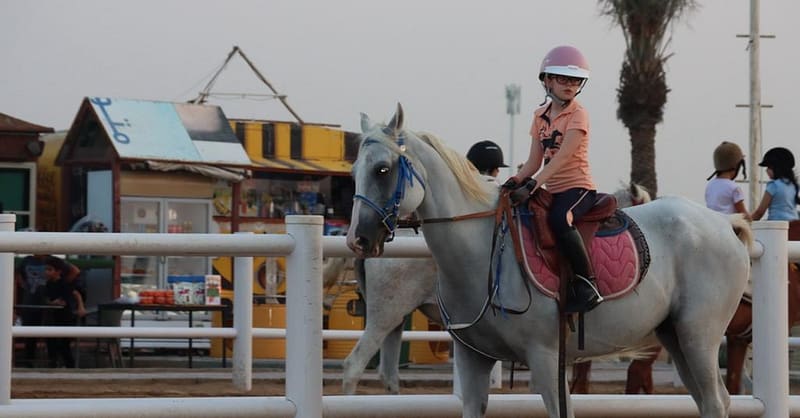 Al Madam 2 Stables, 45-Minute Horse Riding Lesson Dubai Shafqa.com Online Shopping, Best Prices in Dubai UAE 5
