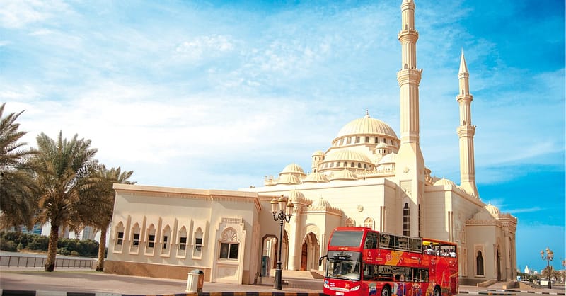 Bus Tour With City Sightseeing Sharjah: Child Aed 80, Adult Aed 125 National Deal Shafqa.com Online Shopping, Best Prices in Dubai UAE 3
