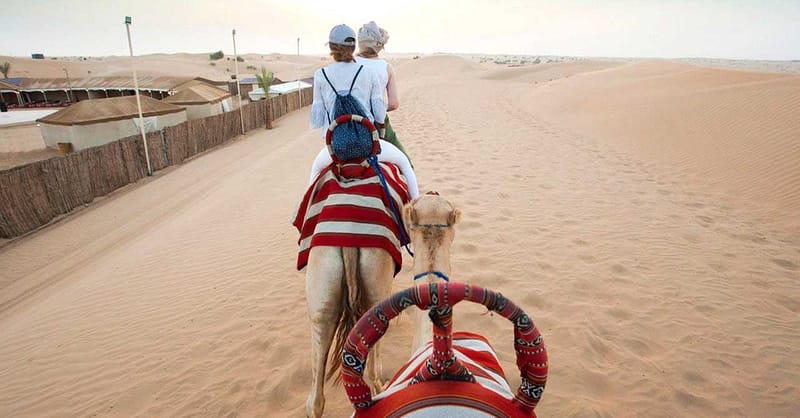 Campsite Dubai Shafqa.com Online Shopping, Best Prices in Dubai UAE 2