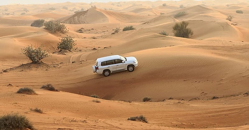 Canal Dhow Cruise And Desert Safari At Desert Ride Travel & Tour Dubai Shafqa.com Online Shopping, Best Prices in Dubai UAE 6