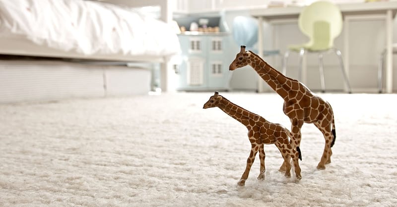 Carpet Cleaning Dubai Shafqa.com Online Shopping, Best Prices in Dubai UAE 2
