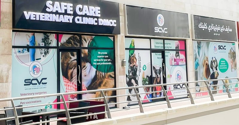 Cat And Dog Check Up And Vaccinations Dubai Shafqa.com Online Shopping, Best Prices in Dubai UAE 2
