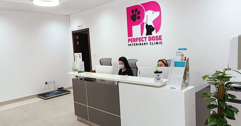 Cat Or Dog Annual Vaccination At Perfect Dose Veterinary Clinic Dubai Shafqa.com Online Shopping, Best Prices in Dubai UAE 2