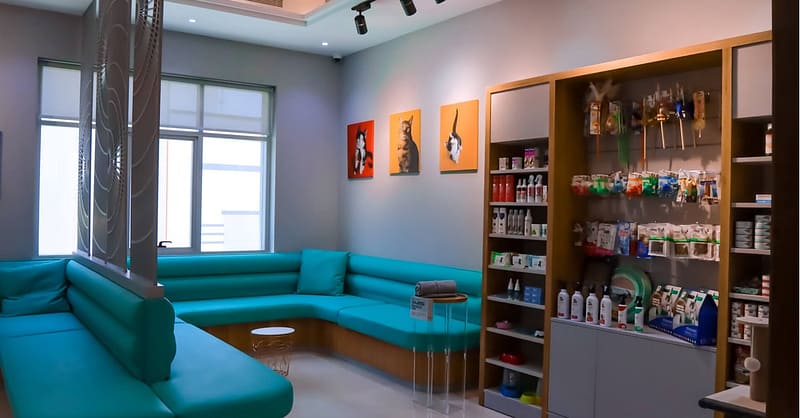 Cat/Dog Annual Vaccination, Full Check-Up W/ Optional Nail Trim & More Dubai Shafqa.com Online Shopping, Best Prices in Dubai UAE 7