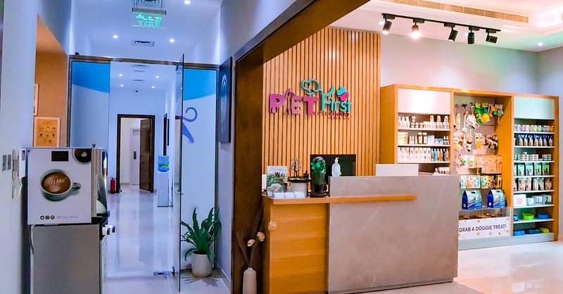 Cat/Dog Annual Vaccination, Full Check-Up W/ Optional Nail Trim & More Dubai Shafqa.com Online Shopping, Best Prices in Dubai UAE 8