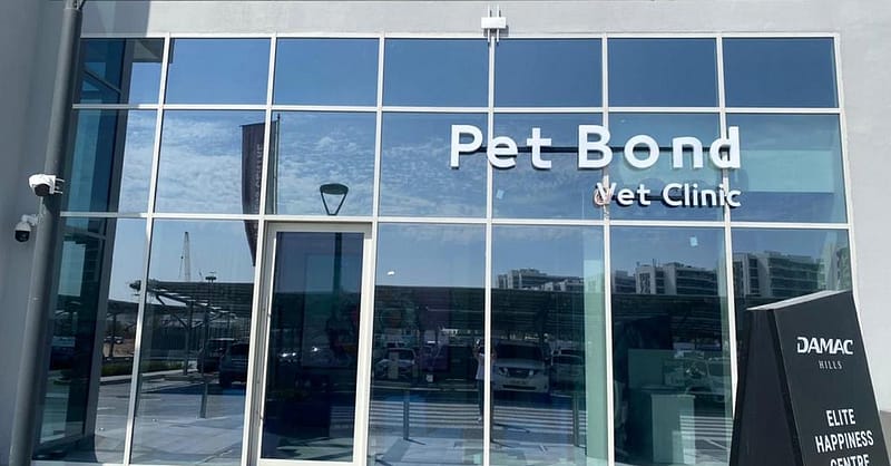 Cat/Dog Check Up With Vaccinations Dubai Shafqa.com Online Shopping, Best Prices in Dubai UAE 3