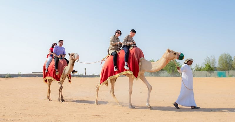 Choice Of Hot Air Balloon Flight: For One Child And 1, 2 Or 4 Adults National Deal Shafqa.com Online Shopping, Best Prices in Dubai UAE 4